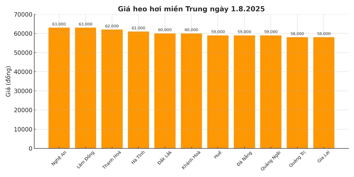 Gia heo hoi ngay 1.8 tai khu vuc mien Trung. Do hoa: Thuy Linh
