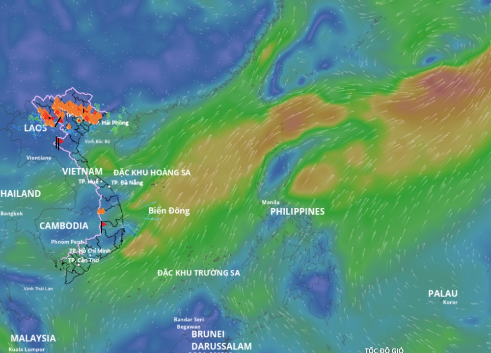 低気圧が南シナ海で活動しています。以下は、8月1日午前11時に更新された海上風場の画像です。出典:ベトナム自然災害監視システム