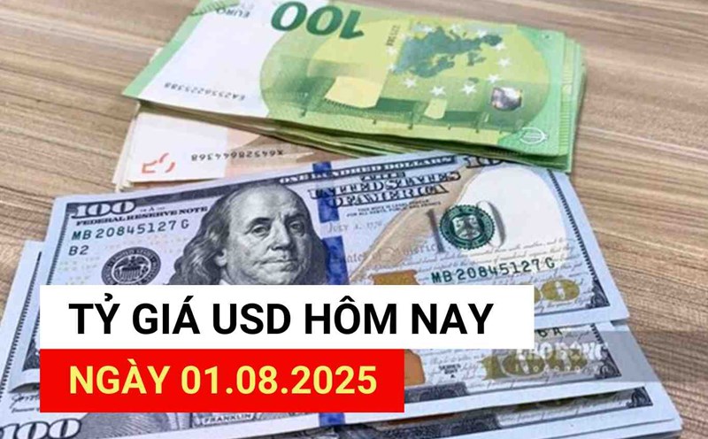 USD exchange rate today 1.8.2025.