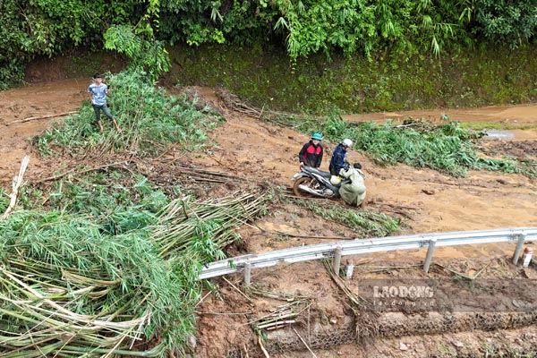 Anh: Quang Dat