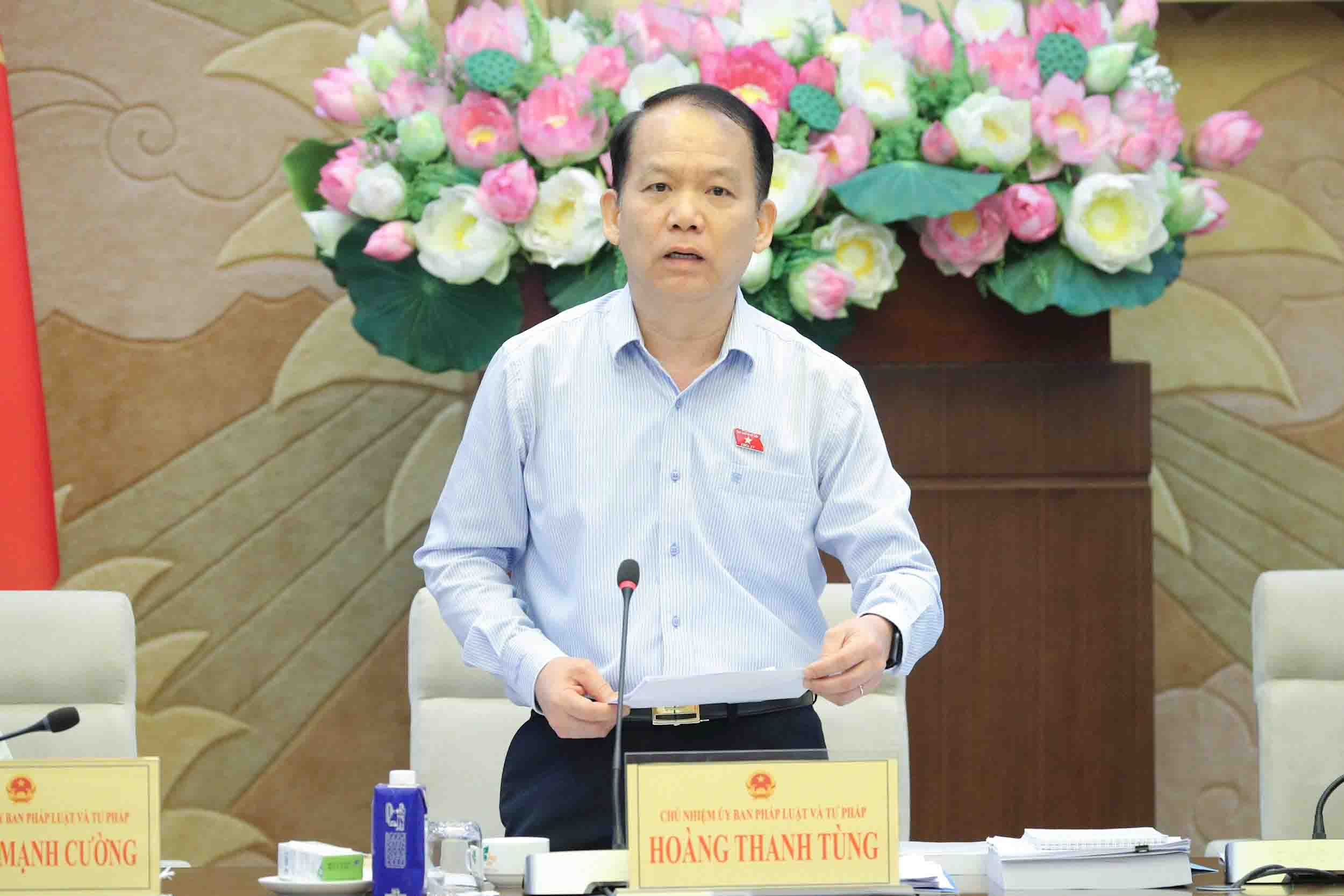 Chairman of the National Assembly's Committee on Law and Justice Hoang Thanh Tung. Photo: Ho Long