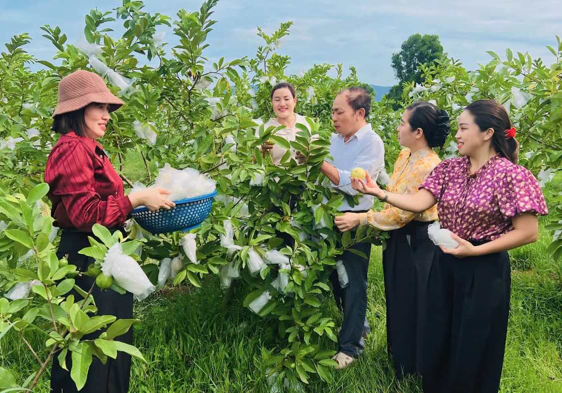 El Comite del Frente de la Patria de Vietnam de la comuna de Hoa Trach visita los modelos economicos de la zona. Foto: Nguyen Hoai