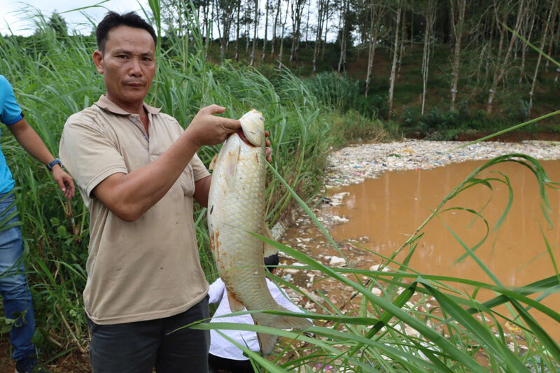 多くの世帯の池に放出された廃棄物は、魚を死に至らしめ、雑草を大量に死に至らしめ、住民に大きな損害を与えています。写真:Huu Phuc