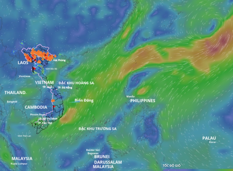 低気圧が南シナ海で活動中です。以下は、1月8日午後5時に更新された海上風場の画像です。出典:ベトナム自然災害監視システム