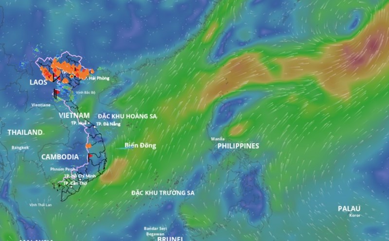 The low pressure area is active in the East Sea. above is an image of the wind fields at sea updated at 5:00 p.m. on August 1. Source: Vietnam Disaster Monitoring System