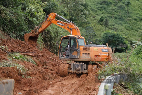 aa