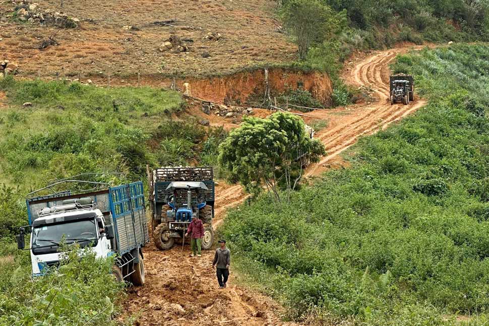 Các phương tiện đang vận chuyển gỗ keo ra khỏi khu vực rừng trồng ở Gia Lai. Ảnh: Thanh Thanh
