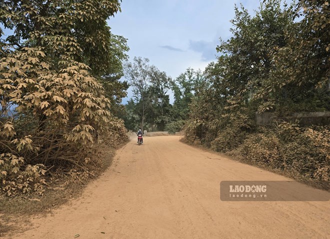 カオバン省の中心部の道路は、長年にわたり砂運搬車による粉塵や環境汚染に苦しんでいます。写真:Lao Dong.