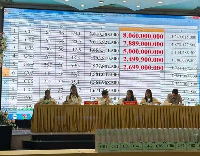 Cac lo dat o Quang Tri trung dau gia ngay 9.8. Anh: Hai Anh