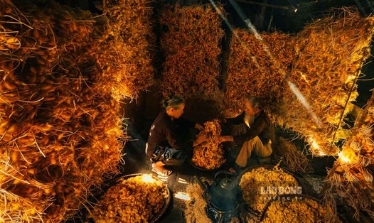 Tìm về ngôi làng ở Hưng Yên ngắm sắc vàng óng của tơ tằm. Ảnh: Trọng Cung