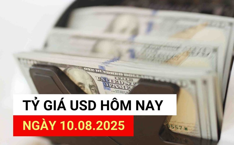 USD exchange rate today 10.8.2025.