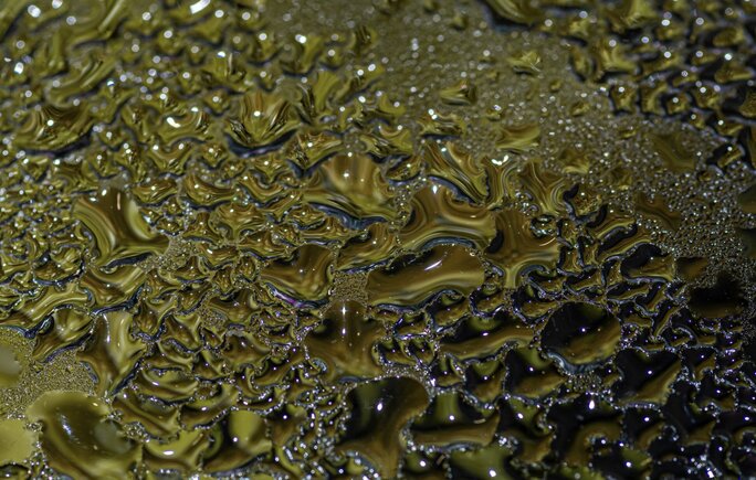 The power of algae oil. Photo: Thuy Duong