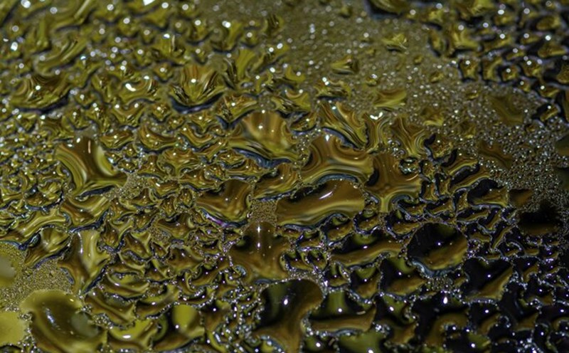 The power of algae oil. Photo: Thuy Duong