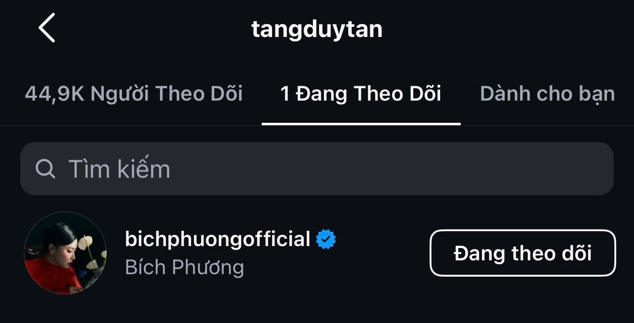 Tang Duy Tan chi theo doi mot minh Bich Phuong tren Instagram. Anh: Cat tu Instagram