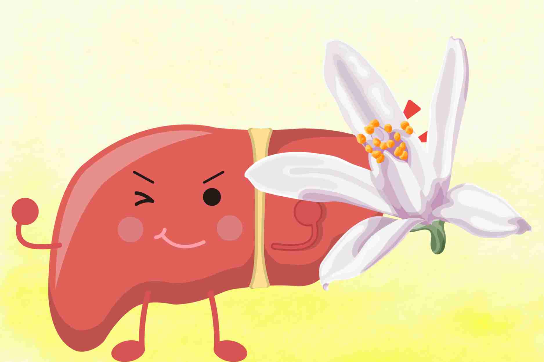 Herbs help cool and detoxify the liver effectively