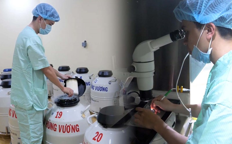 Special notes for single women who want to have children using IVF