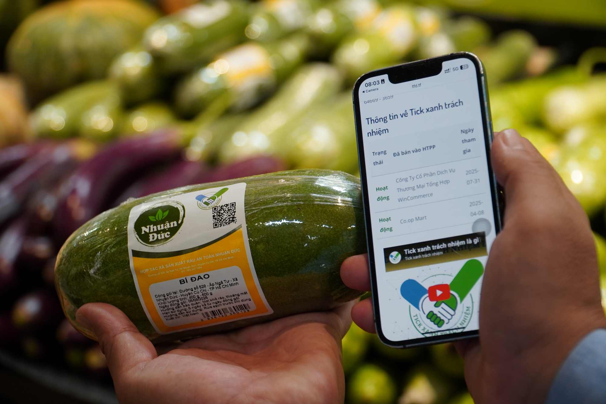 녹색 틱이 부착된 제품에는 QR 코드가 있어 소비자가 정보를 쉽게 검색할 수 있습니다. 사진: Ngoc Le