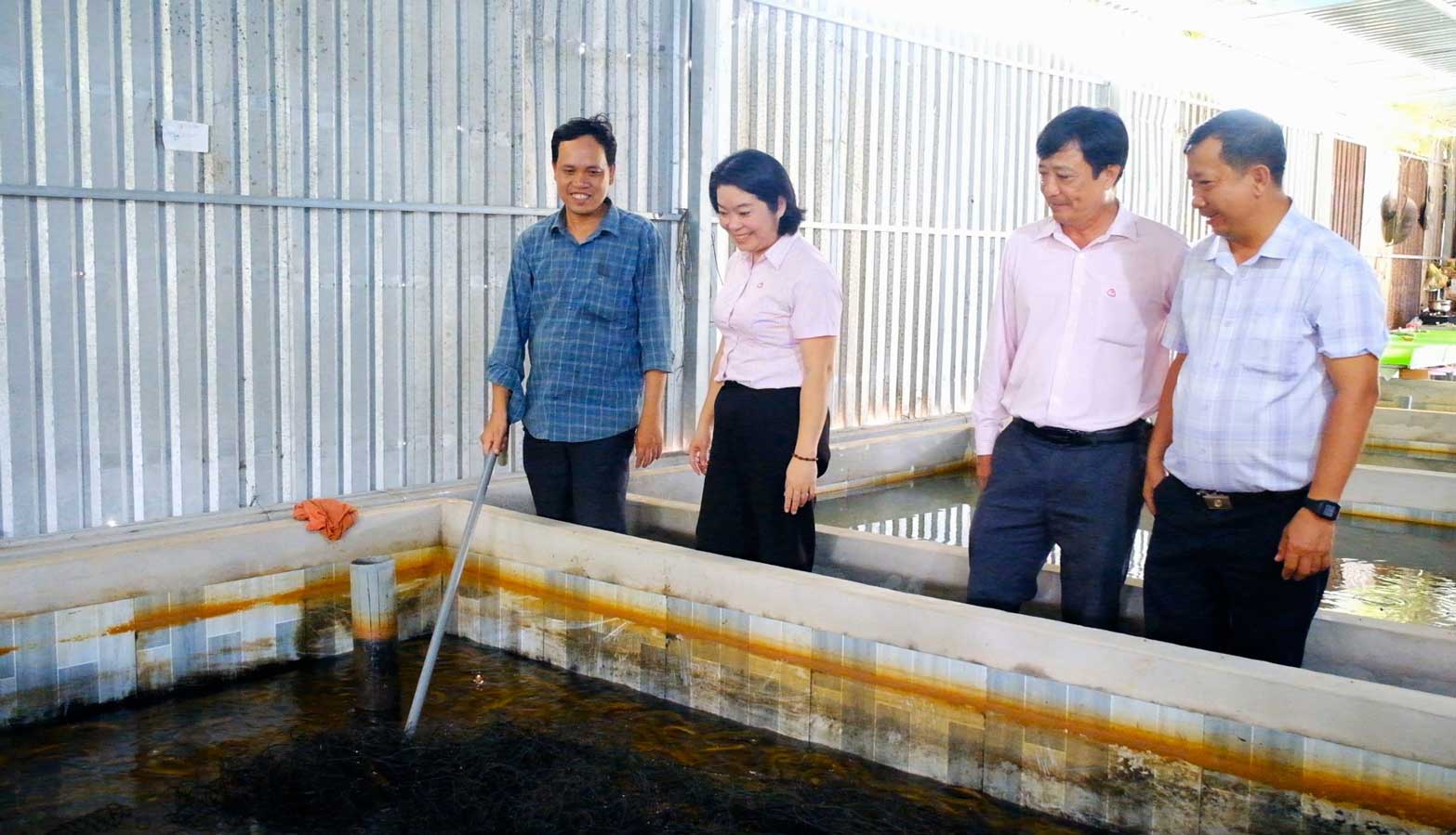 Nhieu ho nong dan tai xa Tan Hoa thanh cong voi mo hinh nuoi luon khong bun. Anh: My Ly