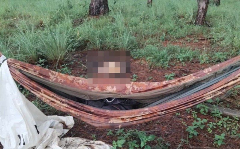 Where human skeletons were discovered. Photo: Bao Lam