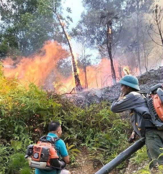 機能的な力と人々は、地域の最上部の地域であるChi Hong Village、Hoa Quan Commeneの森林火災の制御に焦点を当てています。写真：Duc Vinh