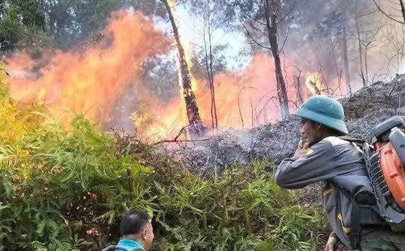 Functional forces and people focused on controlling the forest fire that occurred in the Ru Ai peak area, Chi Hong village, Hoa Quan commune. Photo: Duc Vinh