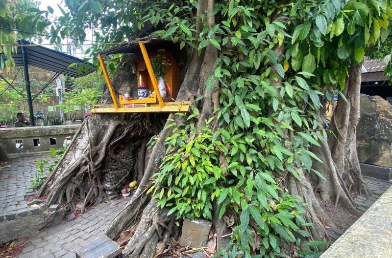 Sau hon 4 thang bi pha hoai, di tich bia da tran yem o Hoi An van chua the trung tu, khoi phuc lai vi con doi... ket luan dieu tra. Anh: Anh Dung.