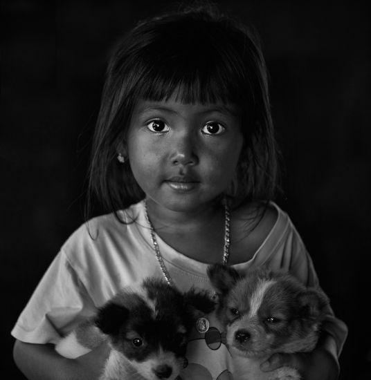 Viẹt Vanの「親友」がPhotoVivo(シンガポール)で金メダルを獲得.