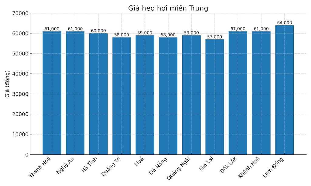 Gia heo hoi ngay 11.8 tai khu vuc mien Trung. Do hoa: Thuy Linh