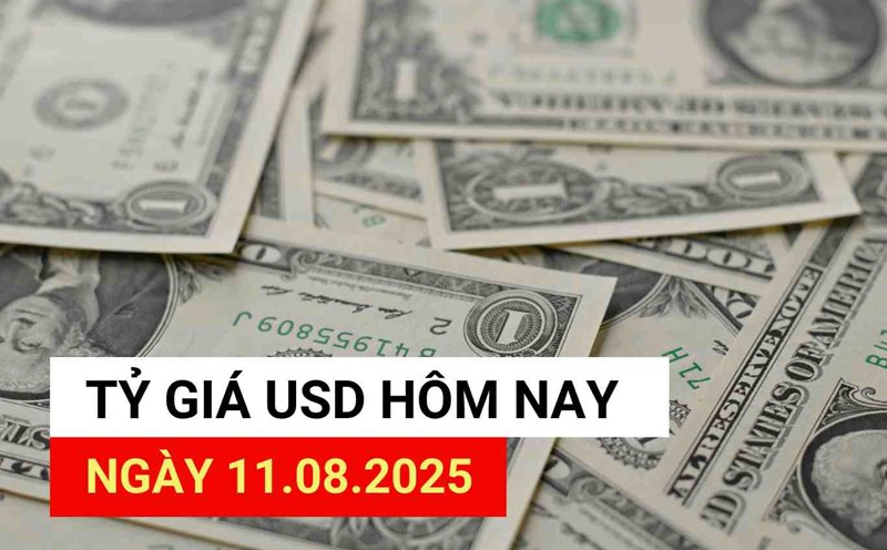 USD exchange rate today 11.8.2025.