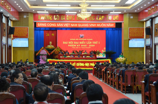 Quang canh dai hoi. Anh: Thanh Tuan 