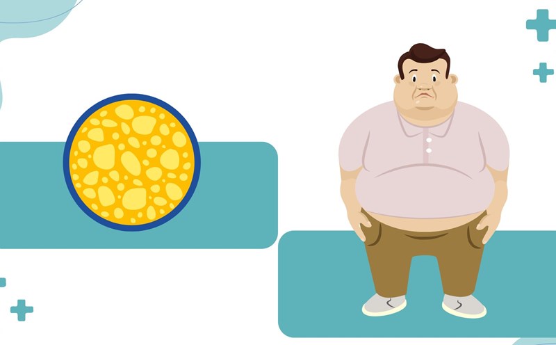 Increase high-quality protein such as white meat, fish, eggs, etc., helping to effectively reduce belly fat. Graphic photo: Huong Son
