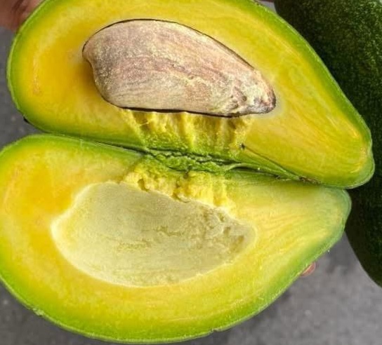 This fruit is rich in nutrients that support collagen synthesis. Photo: Kieu Vu