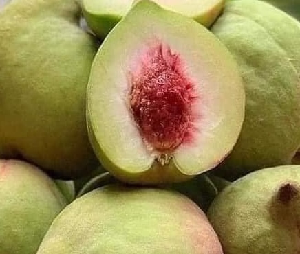 Eating as many peach trees does not increase blood sugar is a concern for many people, especially people with diabetes. Photo: Kieu Vu