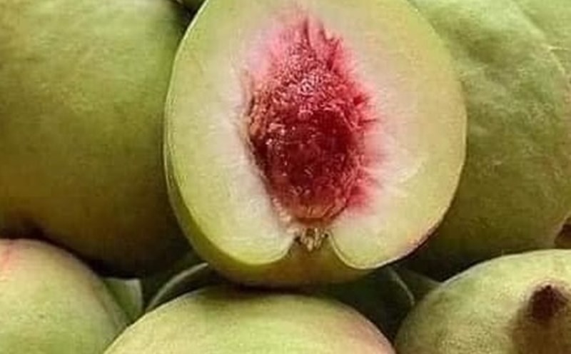 Eating as many peach trees does not increase blood sugar is a concern for many people, especially people with diabetes. Photo: Kieu Vu