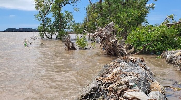 Complex coastal and riverbank landslides, Ca Mau develops response plans