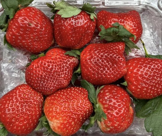 Strawberries are rich in vitamin C, which supports collagen formation to help reduce osteoporosis. Photo: Kieu Vu