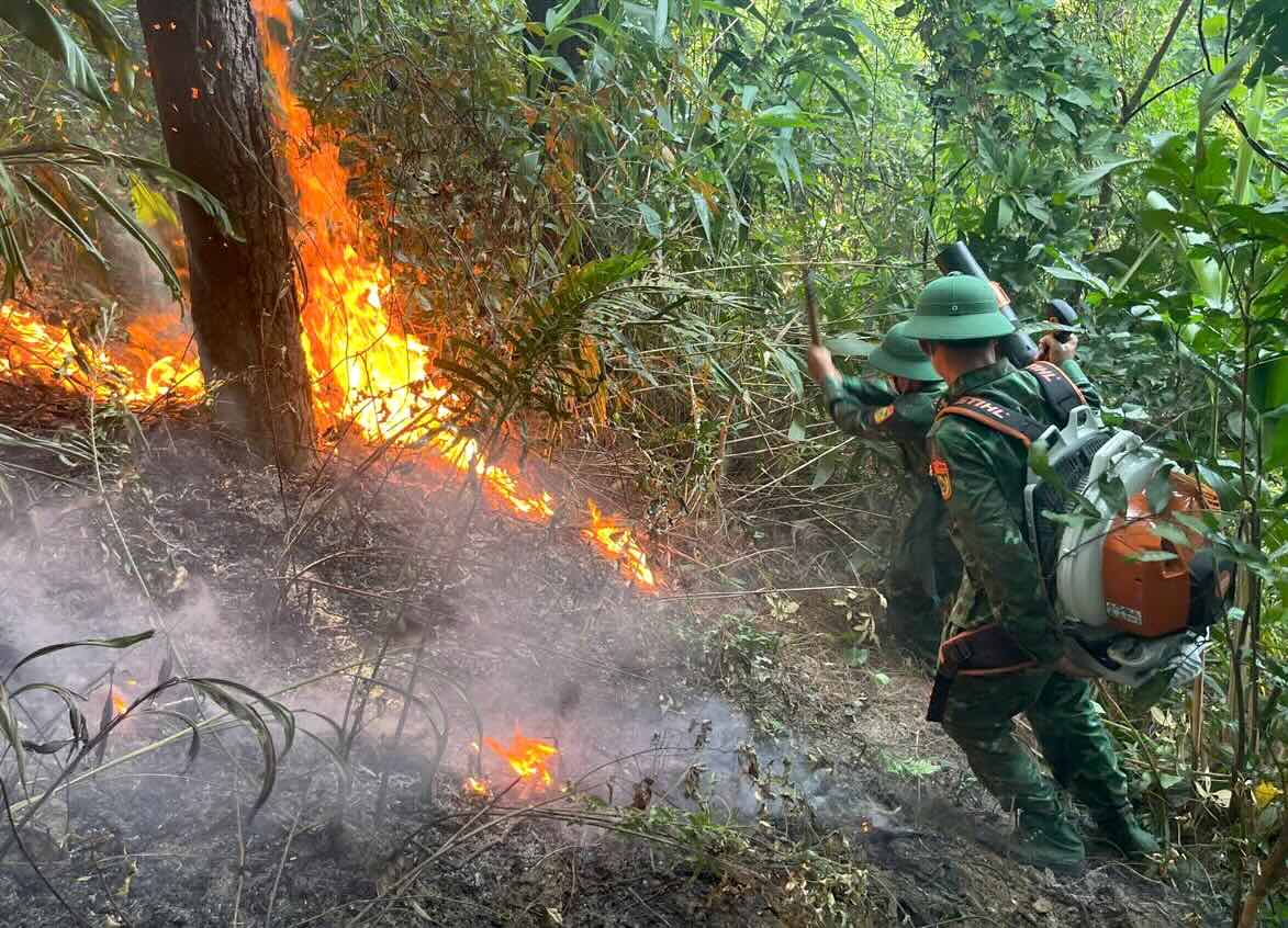 Deo Ngangの保護林火災を鎮圧する機能部隊。写真:国境警備隊