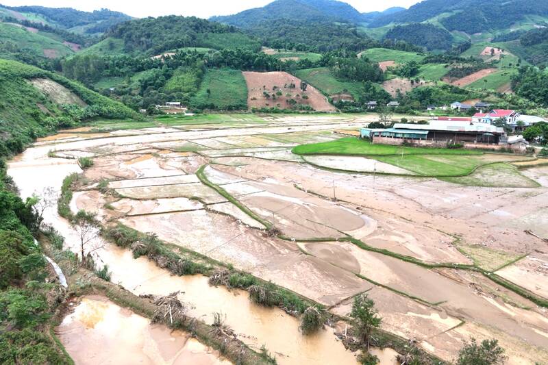 Floods have swept away and buried dozens of hectares of rice in Sop Cop commune, Son La province. Photo: Truong Son