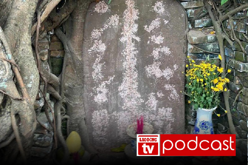 8月12日朝のニュース:ホイアンの石碑と水道観測所の修復期間の予測