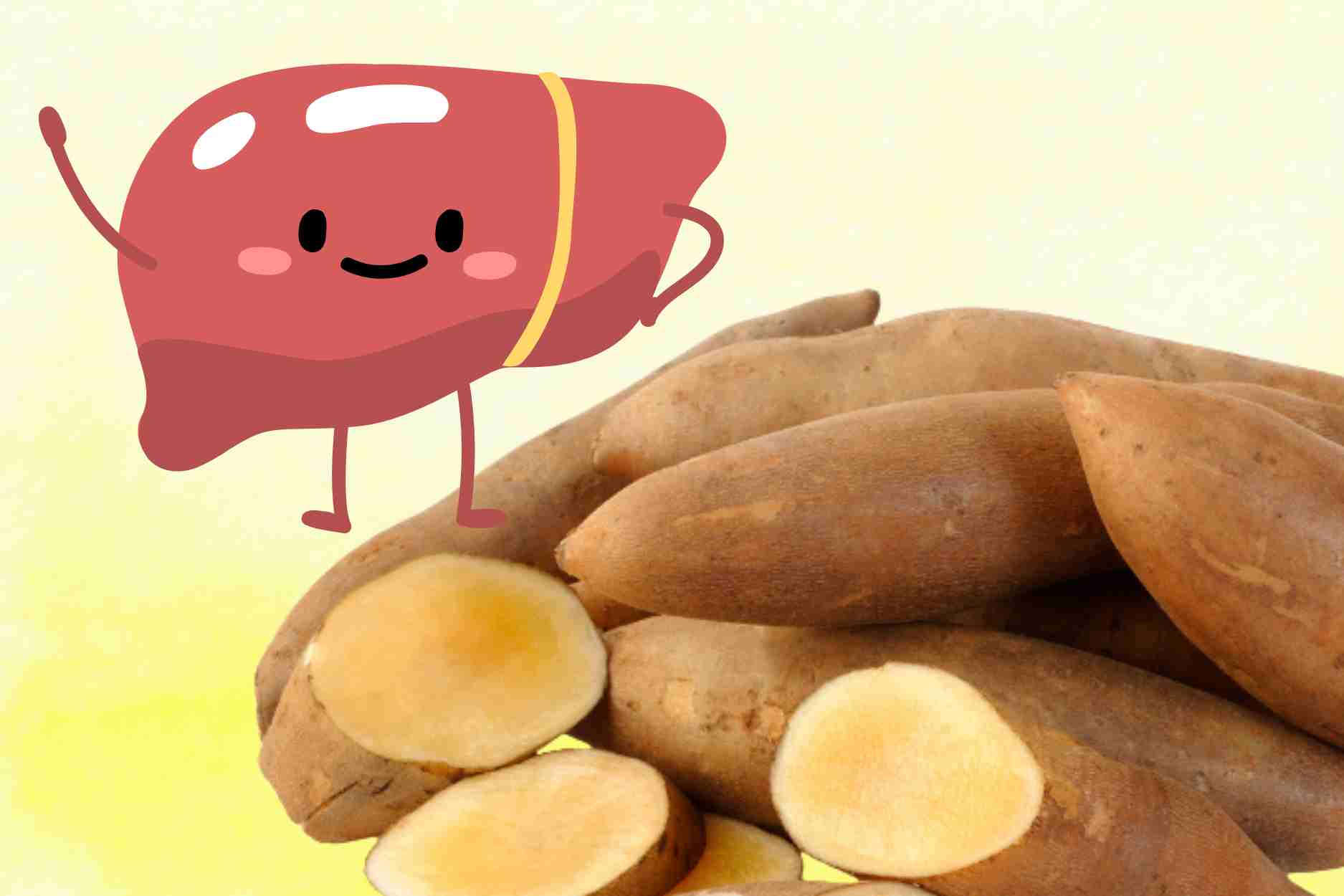 A familiar root rich in liver cooling nutrients, stabilizes blood sugar