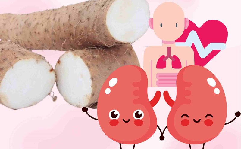 The secret to wild tubers that help nourish the kidneys and enhance physiology