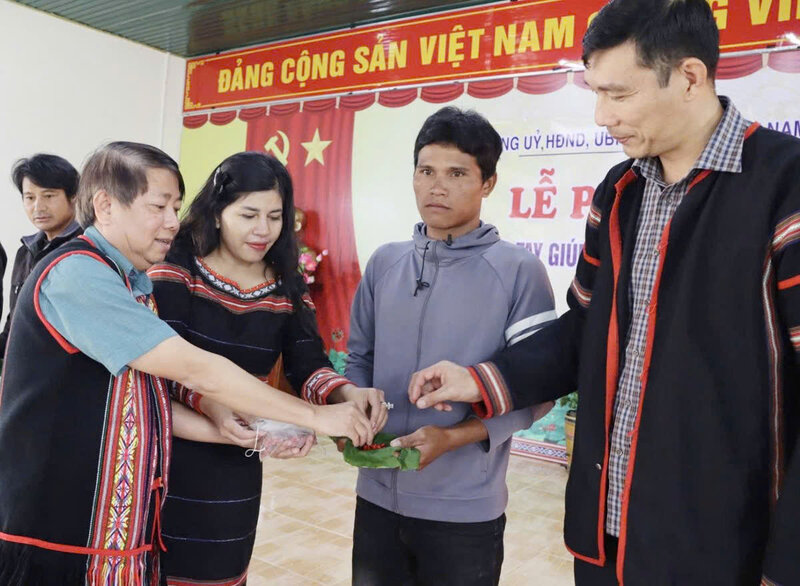 7,500 Ngoc Linh ginseng seeds worth 750 million VND were donated to the people of Mang Ri commune. Photo: Van Tung