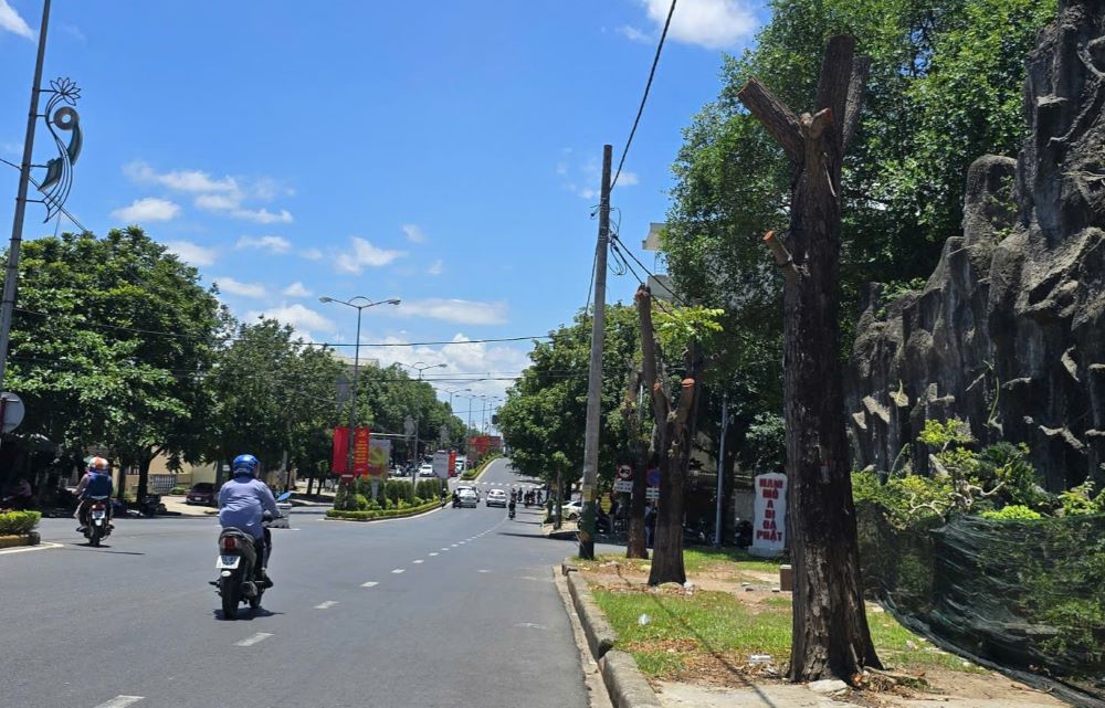 Hung Vuong通りの緑の木(右の写真)は、歩道改修プロジェクトの実施準備のために枝と葉をすべて切断されました。写真:Hung Tho