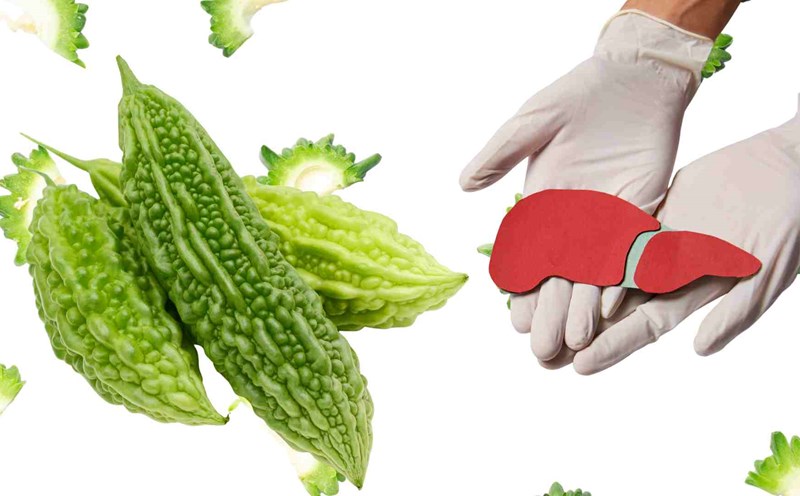 Bitter melon is good for liver function. Graphics: Ha May