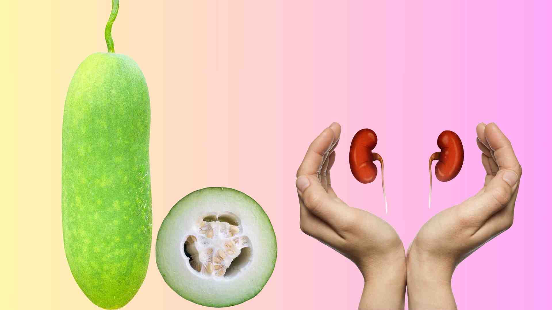 Squash is good for kidney function. Graphics: Ha May