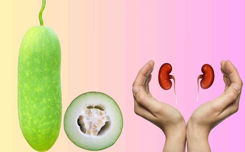 Squash is good for kidney function. Graphics: Ha May