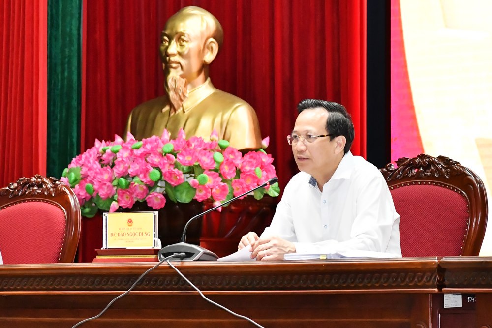 Minister of Ethnic Minorities and Religions Dao Ngoc Dung delivered the opening speech at the Conference. Photo: Xuan Thuong