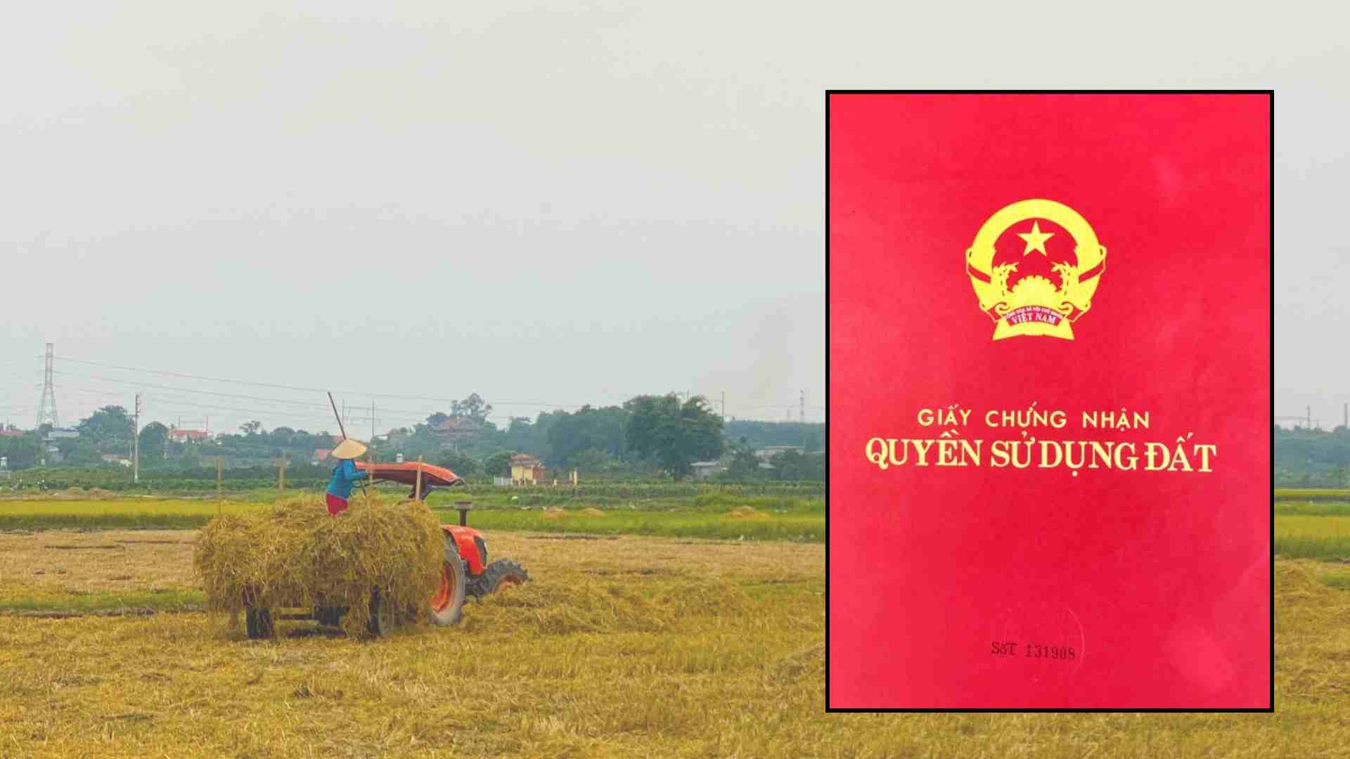 書類、手続き、レッドシート作成時の提出場所の詳細。グラフィック:Thach Lam