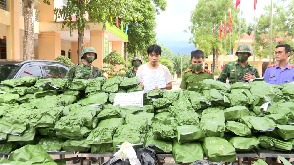 Un jeune homme en possession et transportant 240 kg de cannabis a Ha Tinh a ete arrete.