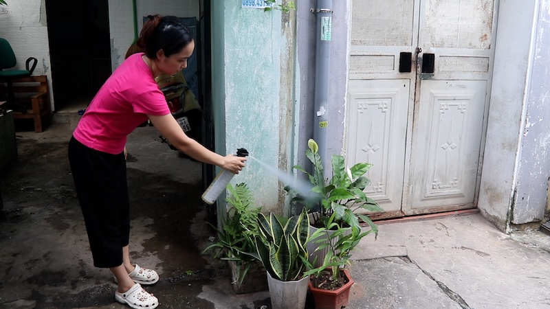 Proactively prevent dengue fever, beware of Chikungunya.